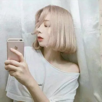 哈莱姆的郁金香