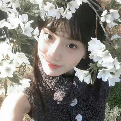 红粉女海盗